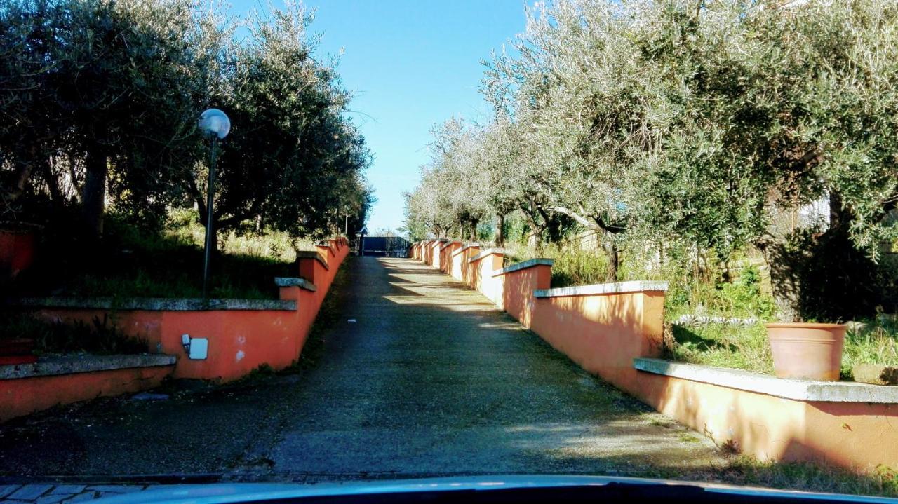 ローマ Locazione Turistica Dream House Marziaヴィラ エクステリア 写真